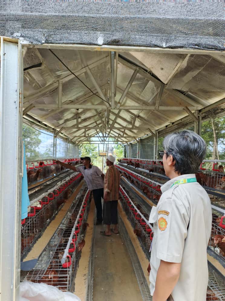 Lokasi Kandang Bersih